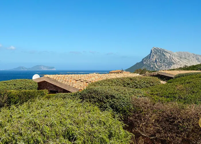 Caterina Punta Molara